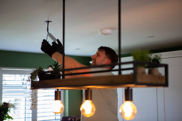 Best Electric Panel Repair  in Hillview, KY